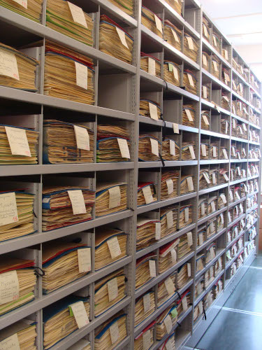 Herbarium specimen cabinets, photo by BSM